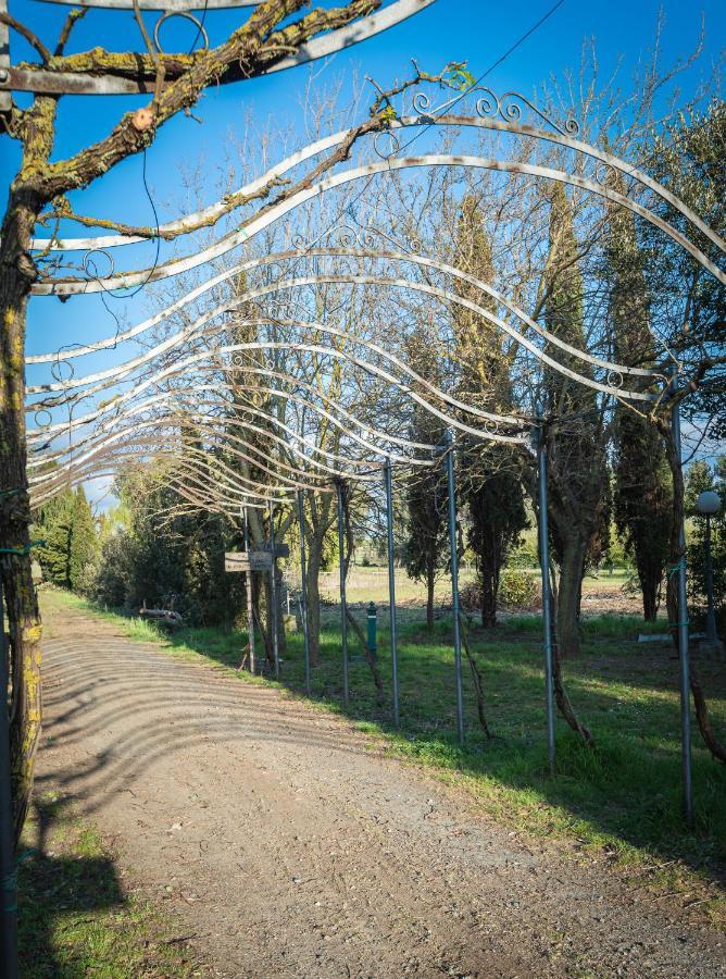Agriturismo Le Biricoccole ヴァダ エクステリア 写真