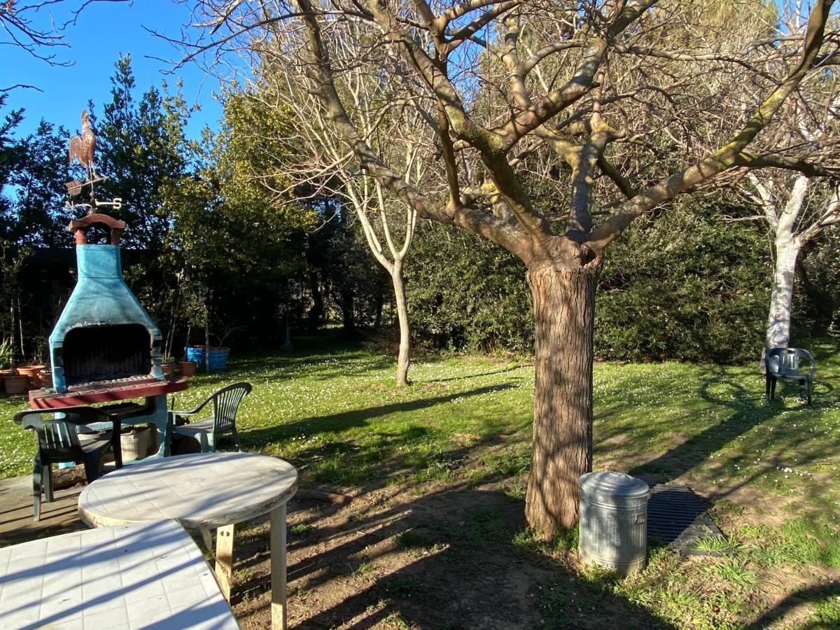 Agriturismo Le Biricoccole ヴァダ エクステリア 写真