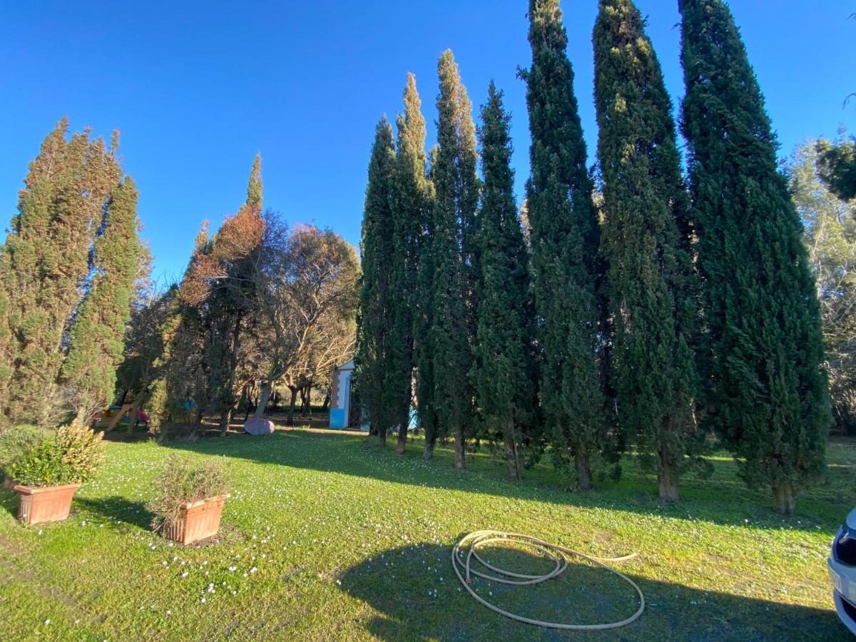 Agriturismo Le Biricoccole ヴァダ エクステリア 写真