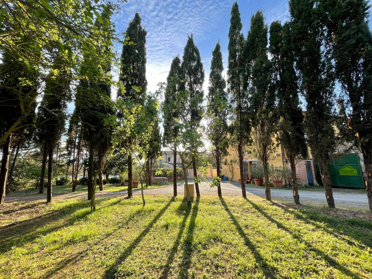 Agriturismo Le Biricoccole ヴァダ エクステリア 写真