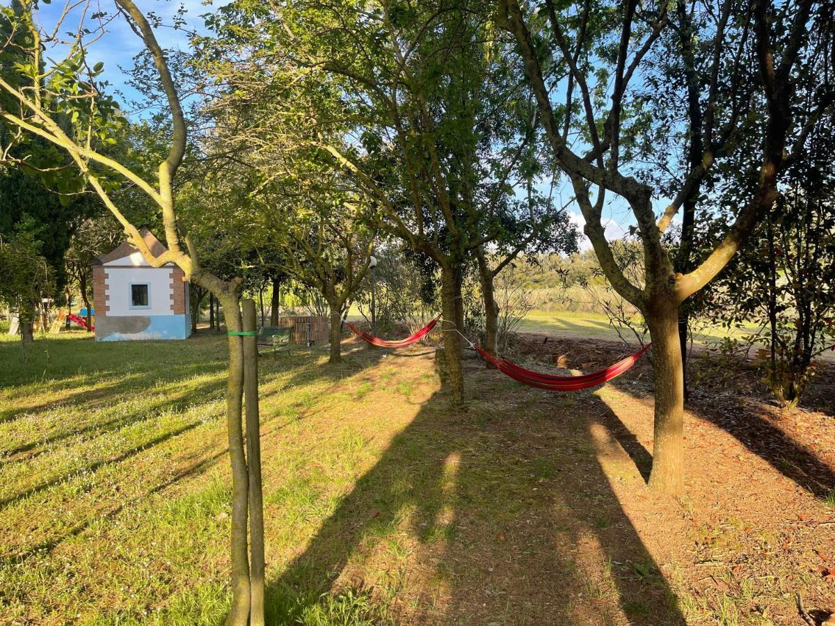 Agriturismo Le Biricoccole ヴァダ エクステリア 写真