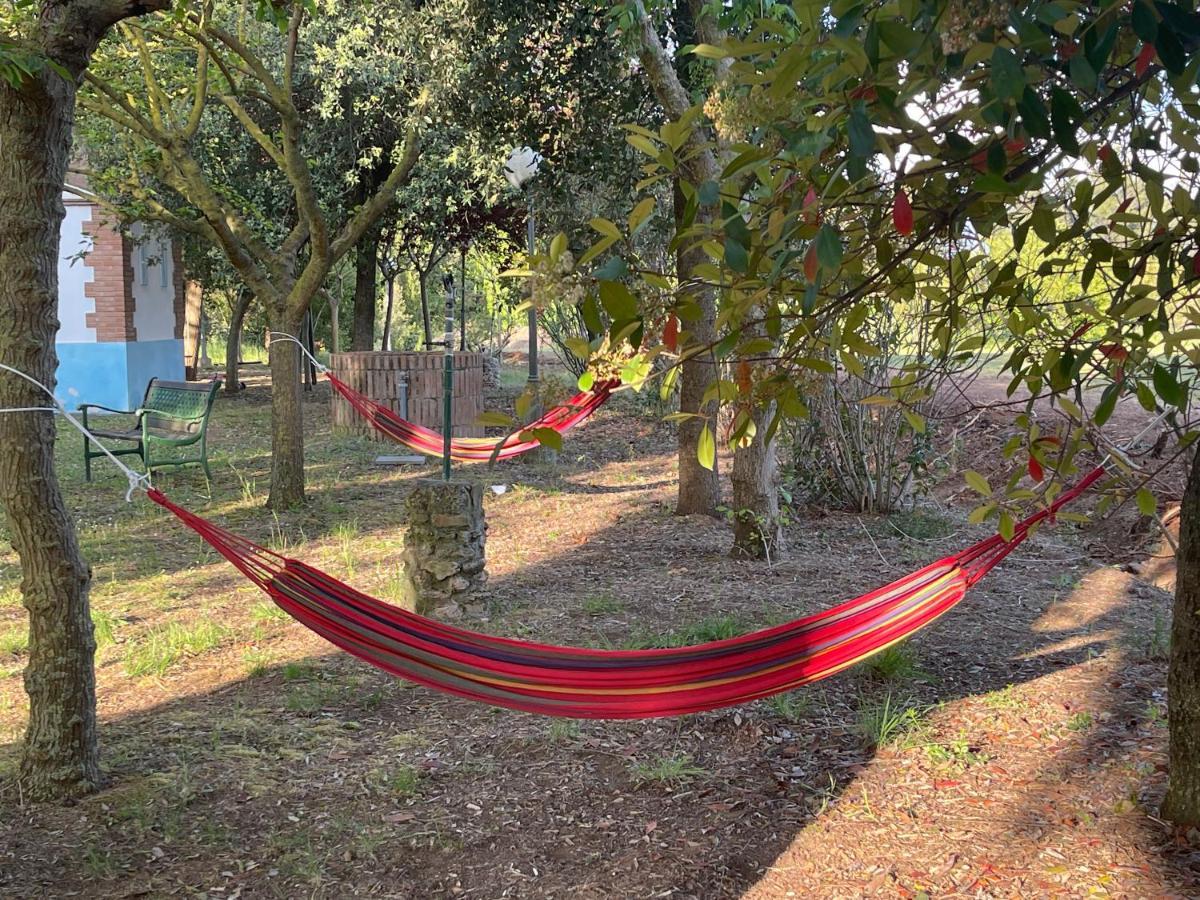 Agriturismo Le Biricoccole ヴァダ エクステリア 写真