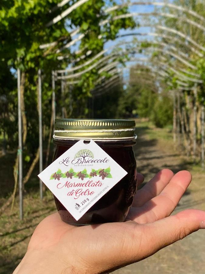 Agriturismo Le Biricoccole ヴァダ エクステリア 写真