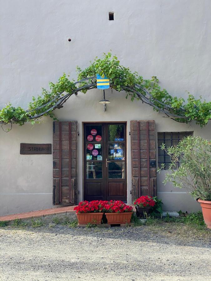 Agriturismo Le Biricoccole ヴァダ エクステリア 写真