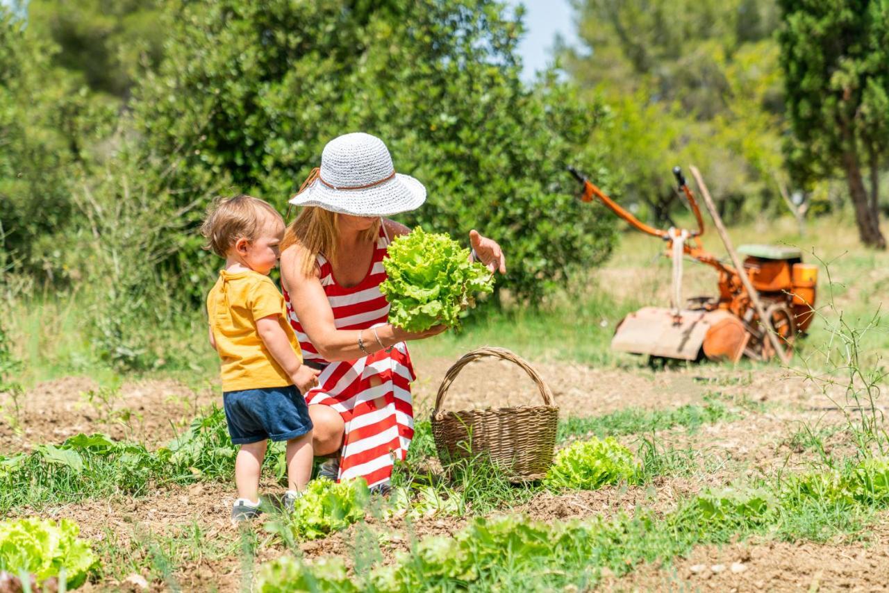 Agriturismo Le Biricoccole ヴァダ エクステリア 写真