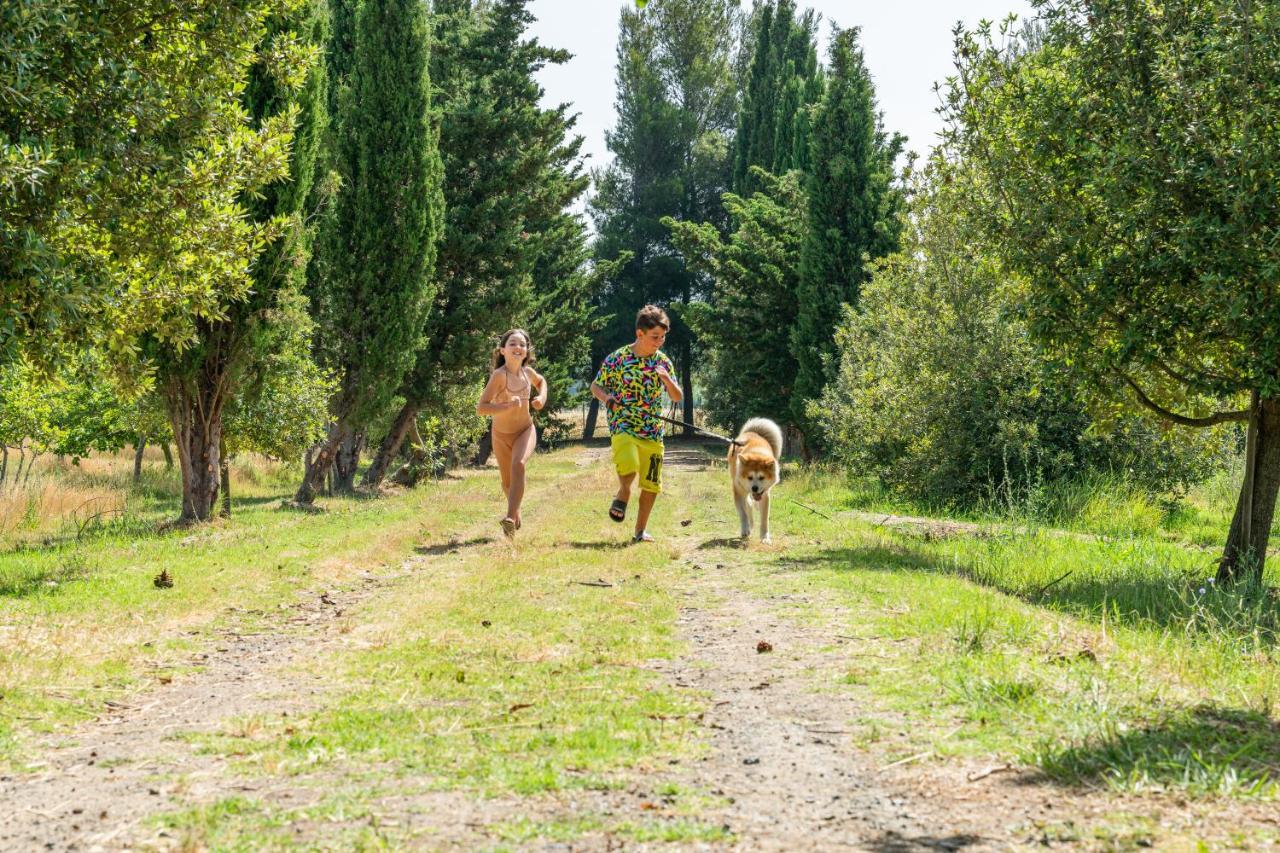 Agriturismo Le Biricoccole ヴァダ エクステリア 写真
