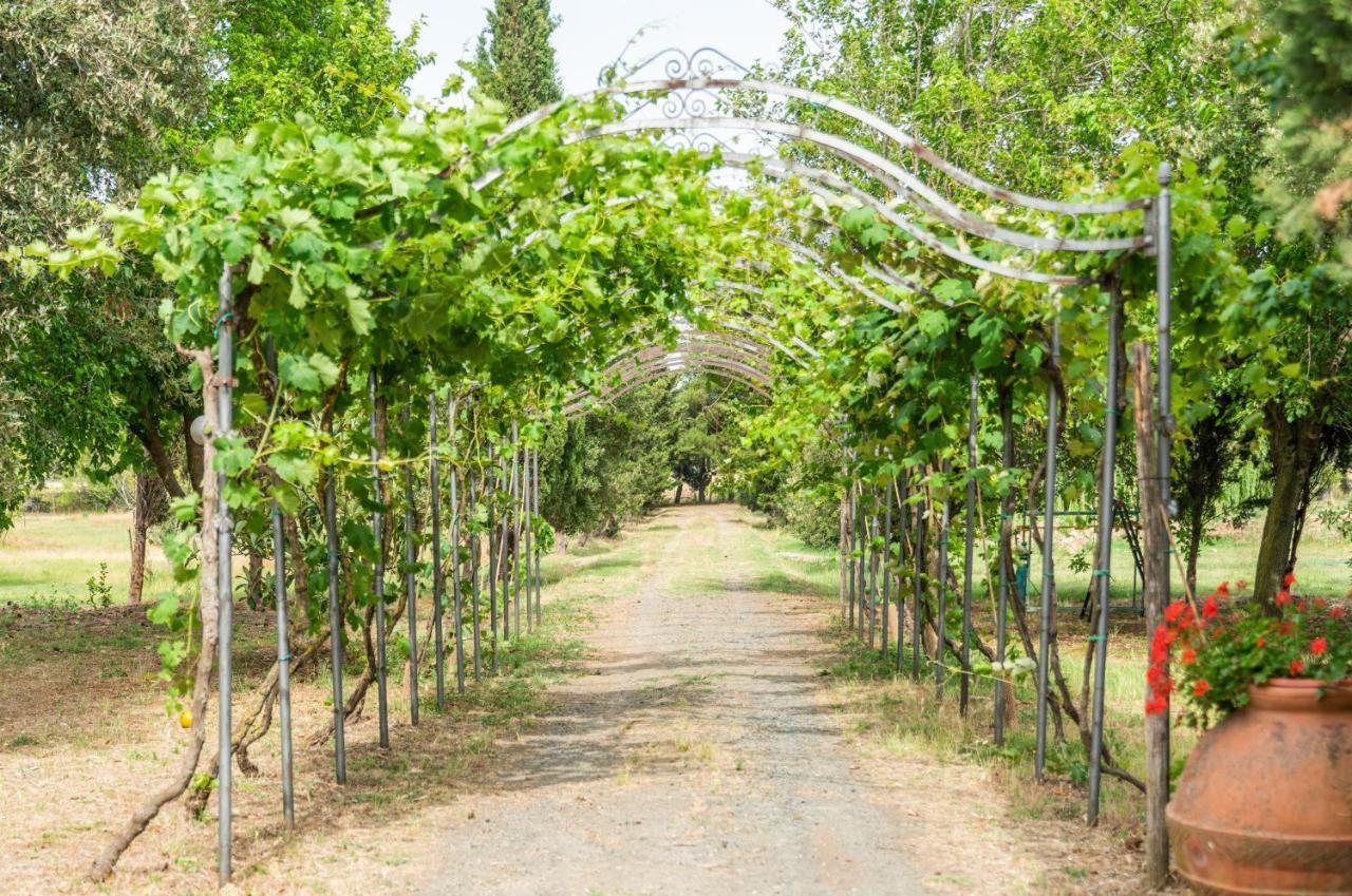 Agriturismo Le Biricoccole ヴァダ エクステリア 写真