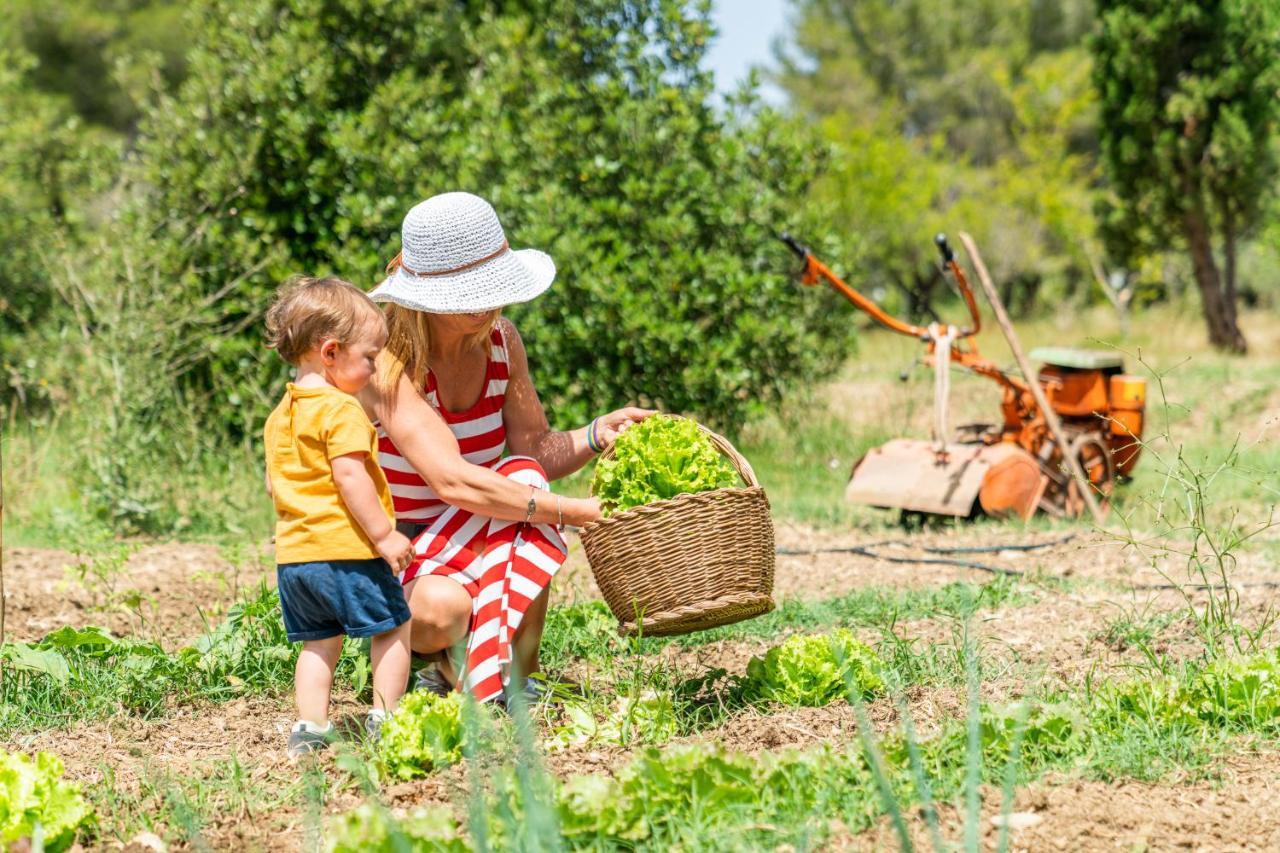 Agriturismo Le Biricoccole ヴァダ エクステリア 写真